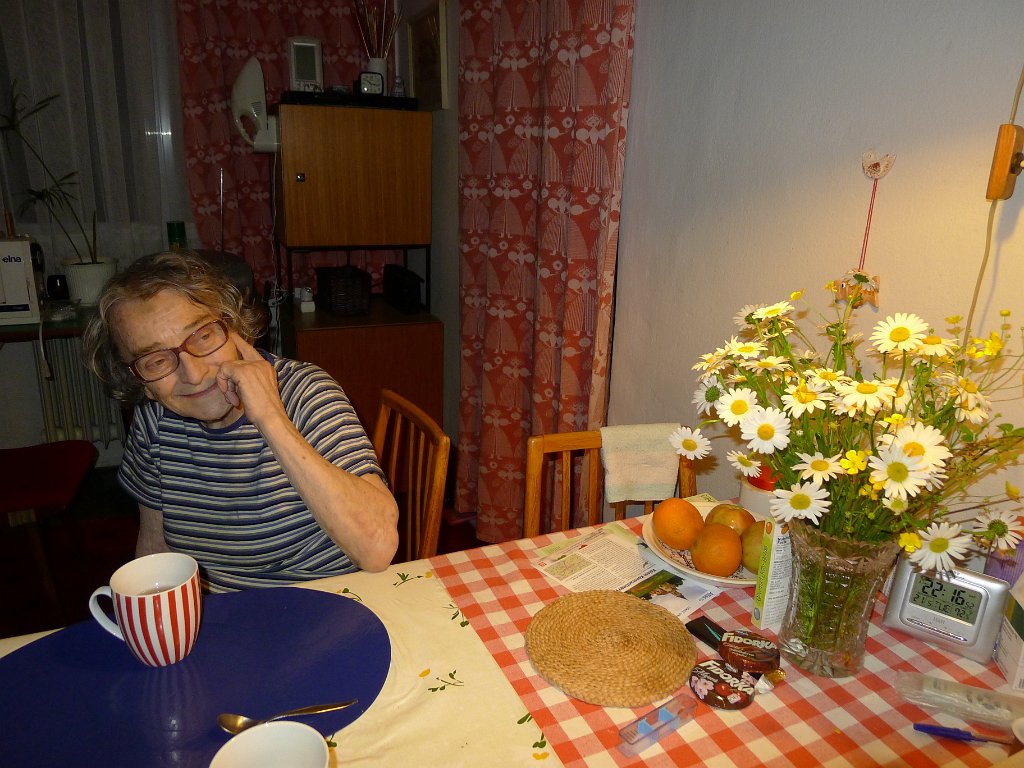PavlaCzechVisit 162